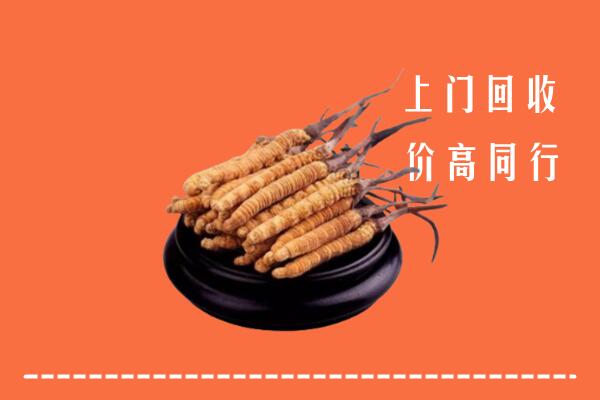 高价求购：卧龙区回收散虫草